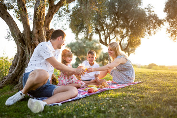 young happy family on a picnic in the summer in the park at sunset smiling drinking fruit juice