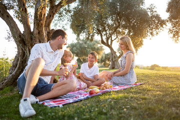 Fototapeta premium young happy family on a picnic in the summer in the park at sunset smiling drinking fruit juice