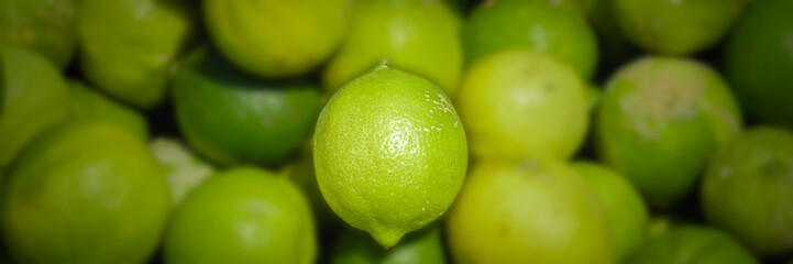 a Lemon isolated from the rest of the lemon
