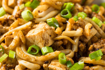 Homemade Japanese Mapo Tofu Udon Noodles