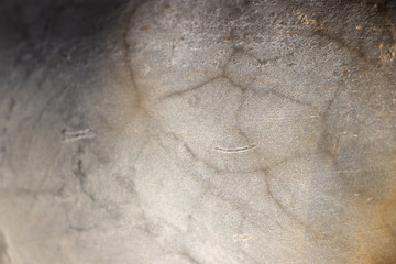 Scratchy rough glass grunge surface texture