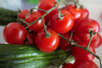 Fresh Cherry Tomatoes and Cucumbers