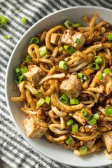 Homemade Japanese Mapo Tofu Udon Noodles