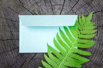 Envelope with fern leaf, postcard idea. Copy space