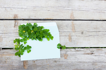 Fototapeta na wymiar The concept of spring. Envelope with clover on wooden background.