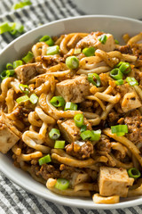 Homemade Japanese Mapo Tofu Udon Noodles