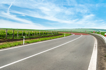 Empty road going along vineyard