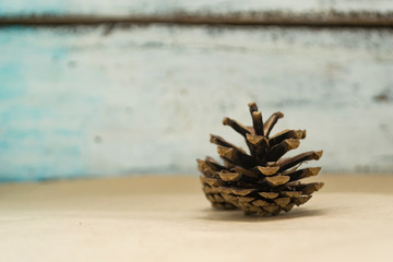 One Fir cone lies on the Crafting background.