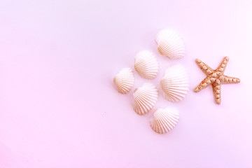 Starfish and seashells on a pink background. Flat lay beach essentials. Top view beauty photo.