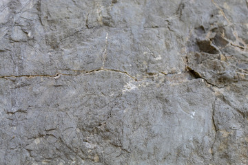 Grayish Old Weathered Natural Stone Texture