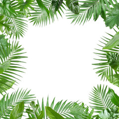 Naklejka na ściany i meble Frame made of fresh green tropical leaves on white background. Space for design