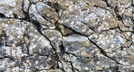 Grayish Cracked Old Weathered Natural Stone Texture