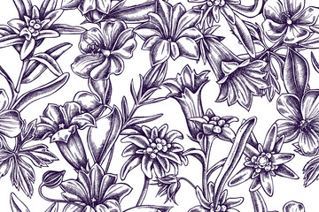 Artistic pattern with edelweiss, meadow geranium, gentiana
