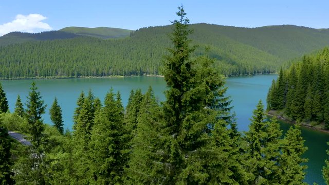 Aerial view of a forest lake. Top view of blue lake and green forests on a sunny summer day. Drone photography. Forest and lake border. Coastline view from the drone. Lake reflection. Mountain forest 