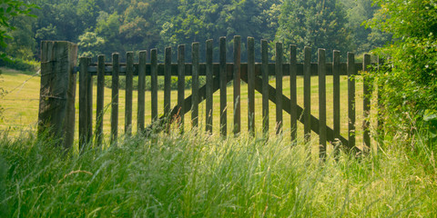 Wooden fence door fron of meadow