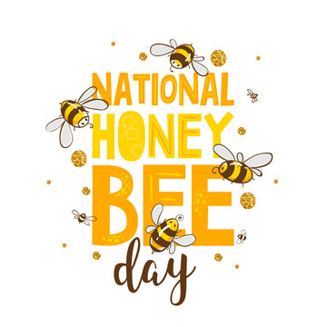 National bee day. Cute lettering. Vector EPS10