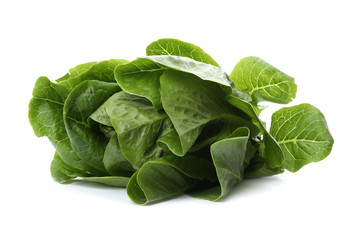 Fresh green bok choy cabbage isolated on white