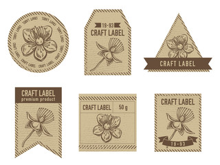 Craft labels with hypericum