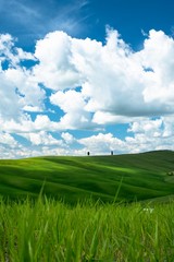 green field and blue sky
