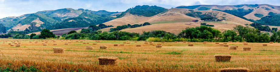 Fototapeta na wymiar Panorama of Hay bales in Field with Mountains, Hills