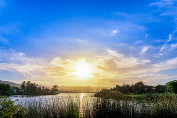Sunset over Lake and Grass, vegetation