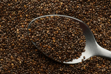 Chia seed in metal spoon