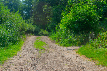 Fototapeta premium Stone path left from the romans