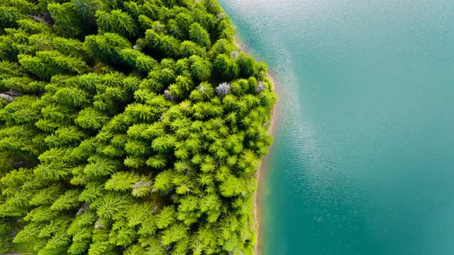Aerial view of a forest lake. Top view of blue lake and green forests on a sunny summer day. Drone photography. Forest and lake border. Coastline view from the drone. Lake reflection. Mountain forest 