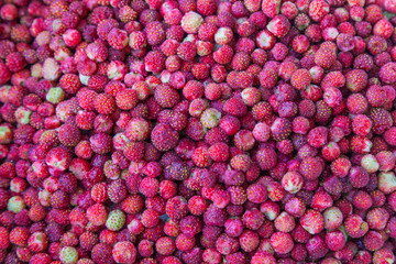 Background image: fresh field strawberries