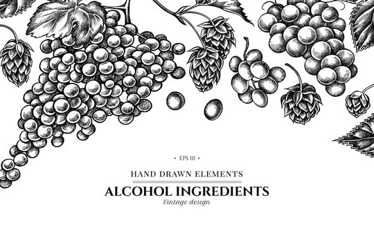 ぶどう イラスト 白黒 の画像 3 975 件の Stock 写真 ベクターおよびビデオ Adobe Stock