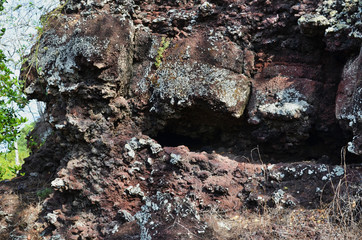 Lichen Pattern on Lava Rock Texture