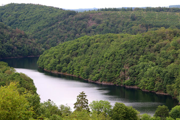 Fototapeta na wymiar Les forêts et les lacs luxembourgeois 