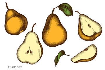 Vector set of hand drawn colored pears