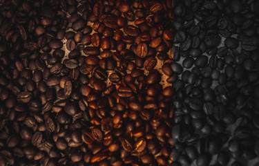 Granos de café con varios tonos de color