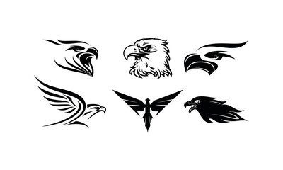 Eagle template vector