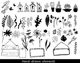 Collection of hand drawn flowers and plant