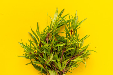 freshly harvested rosemary bunch isolated, slicing or cutting herbs