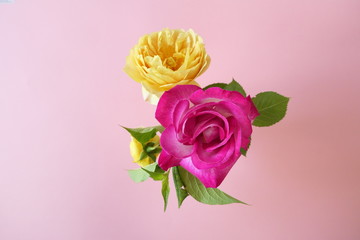 Mix of Colorful Flowers in a Vase isolated on a Light Pink Background
