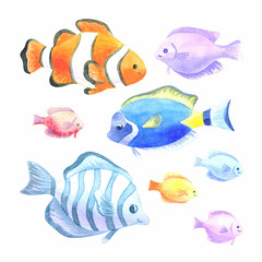 Beautiful exotic fishes set. Colorful hand drawn illustrations isolated on a white background. Watercolor painting.