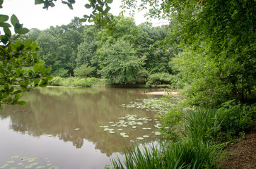 Winkler Botanical Preserve Park in Virginia, USA
