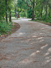 Footpath for walking around the lake in the park