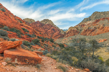 Red Rock Canyon National Conservation Area.Winter.Nevada.USA