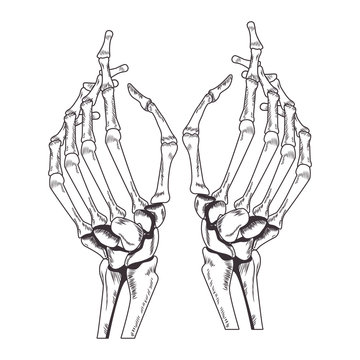 68 876 Best Skeleton Hand Images Stock Photos Vectors Adobe Stock 68 876 Best Skeleton Hand Images Stock Photos Vectors Adobe Stock