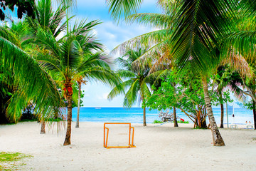 Landscape Peaceful Beach in Cozumel, Mexico.
