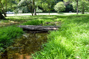 Fototapeta na wymiar one of the parks in Virginia America