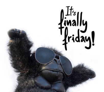 Gorilla and funny friday message