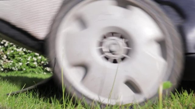 lawn mower passing by chopping tiny trees growing in the garden during summer day, still shot close to the ground