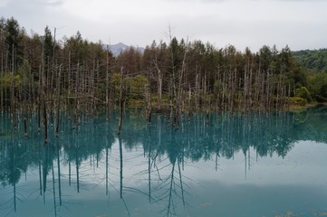 青い池