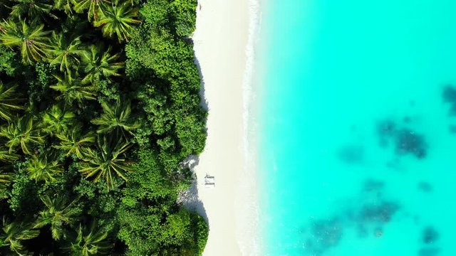 Overhead drone footage of two isolated sun bathing beds on a white sand beach in Barbados. A gentle breeze is moving the palm tree leaves behind