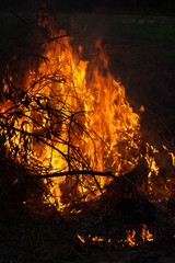 Summer wildfires burning in the Forest at rural area. Fire on the field in spring taken.